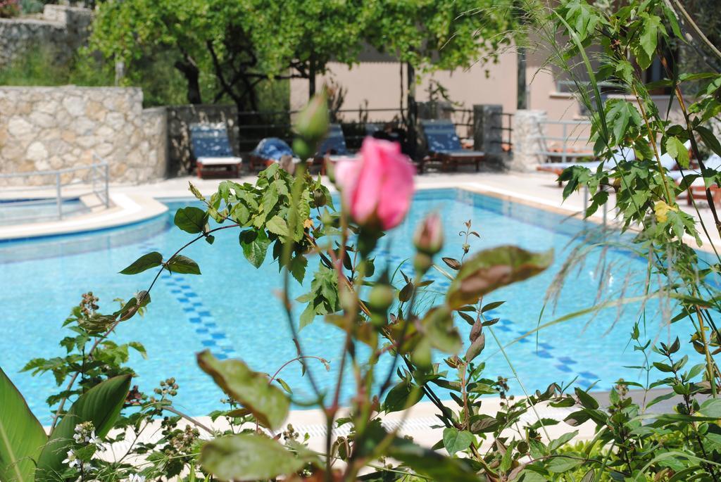 Kleo Cottages Kalkan Rum bild