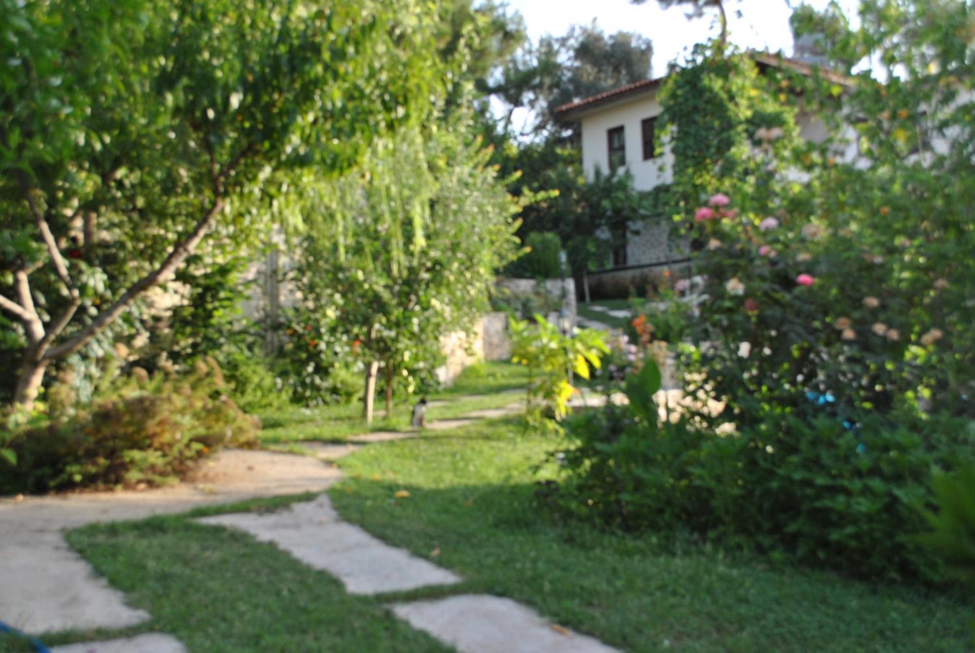 Kleo Cottages Kalkan Exteriör bild