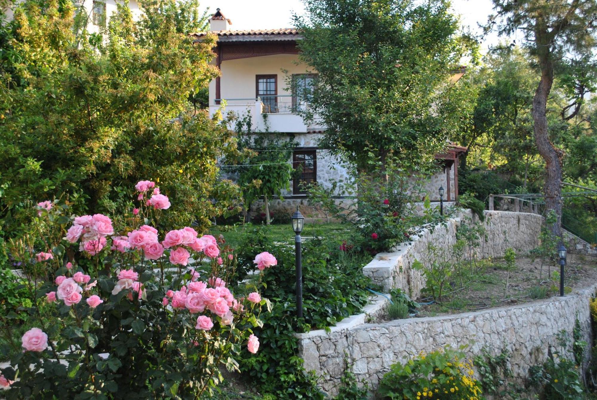 Kleo Cottages Kalkan Exteriör bild