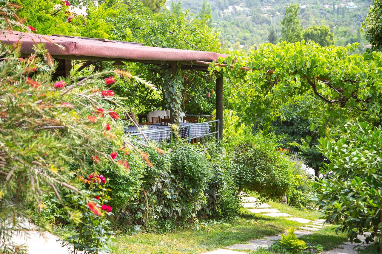Kleo Cottages Kalkan Exteriör bild